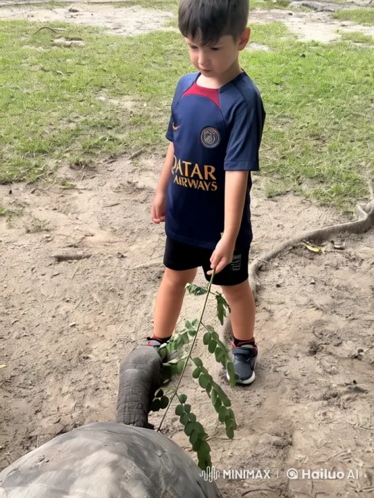 Child Rides on Turtle in Serene Natural Setting – AI Generated Video | Hailuo AI