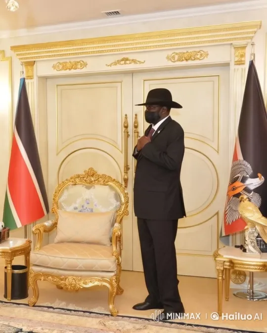 Formal Man in Elegant Room with Symbolic Flags – AI Generated Video | Hailuo AI