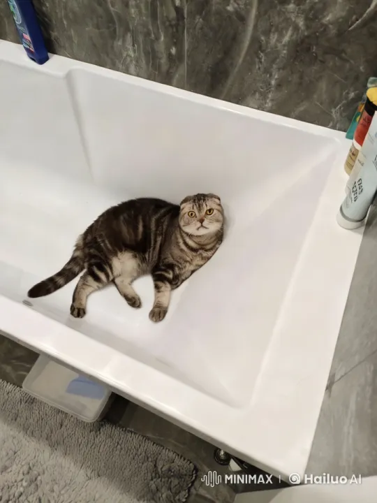 Cat Dancing Gracefully in Modern Marble Bathroom – AI Generated Video | Hailuo AI