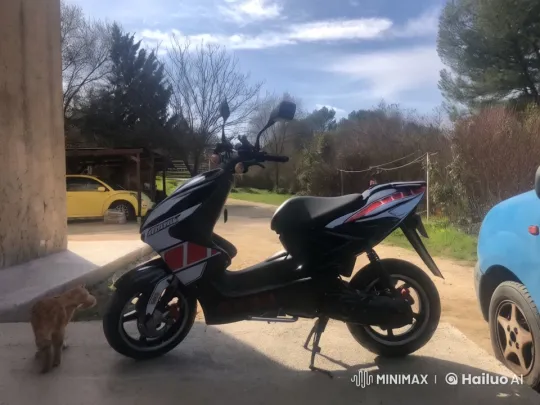 Ginger Cat Approaches Scooter in Serene Setting – AI Generated Video | Hailuo AI