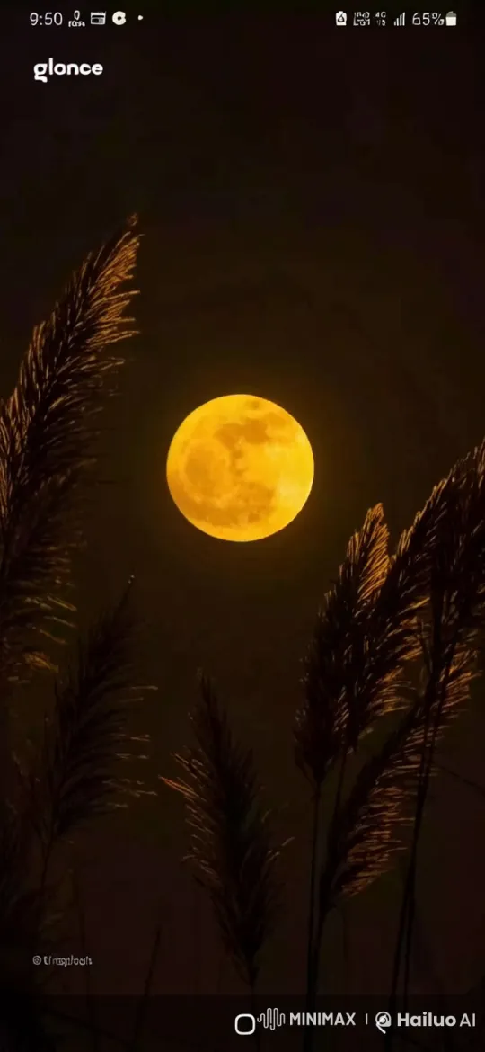 Tranquil Moonlit Night with Swaying Leaves – AI Generated Video | Hailuo AI