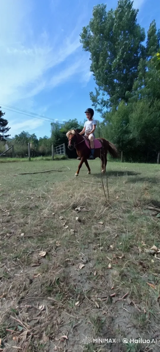 Serene Equestrian Scene: Young Rider on a Calm Horse – AI Generated Video | Hailuo AI