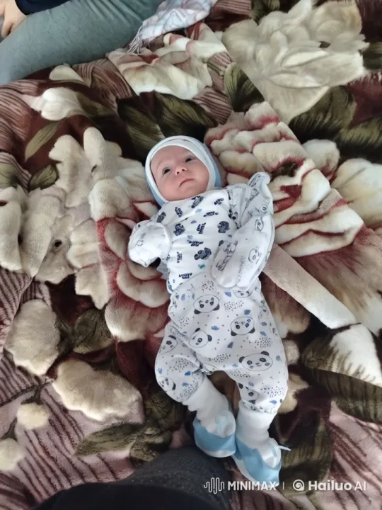 Baby on a Cozy Floral Blanket in Panda Onesie – AI Generated Video | Hailuo AI