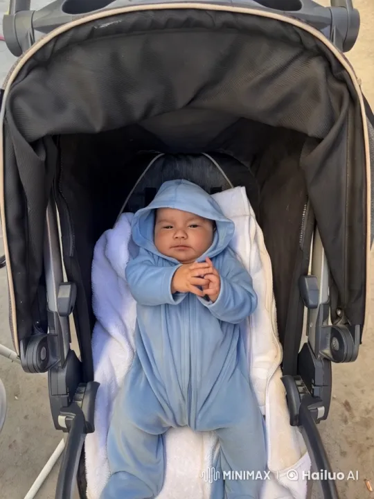 Baby's Adorable Kung Fu Dance in Stroller – AI Generated Video | Hailuo AI
