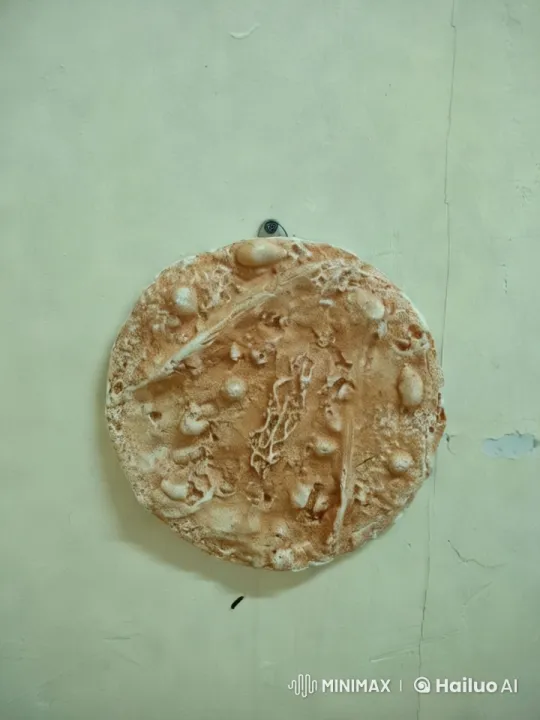Vibrant Living Artwork Evolves with Sprouting Plants – AI Generated Video | Hailuo AI