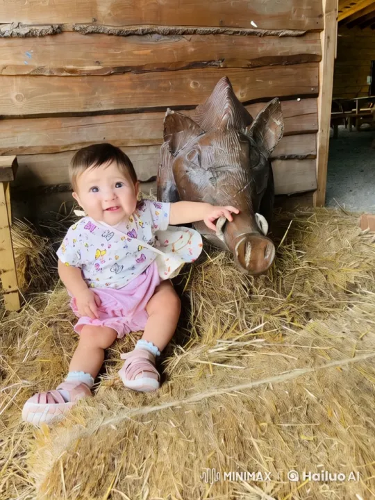 Baby Dances and Plays Kung Fu in Rustic Barn Setting – AI Generated Video | Hailuo AI