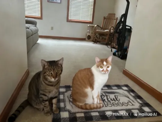 Cats Unexpectedly Twerk and Fart in Cozy Living Room – AI Generated Video | Hailuo AI