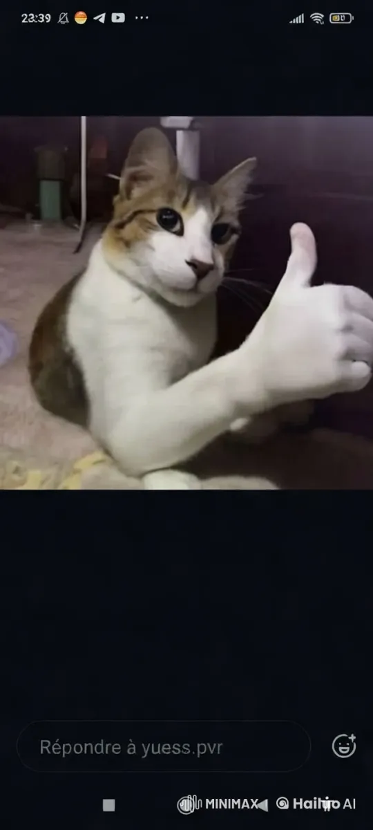 Cat Gives Thumbs-Up in Cozy Indoor Scene – AI Generated Video | Hailuo AI