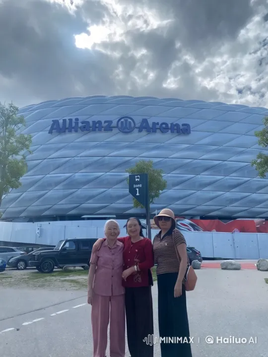 Martial Arts Display at Allianz Arena – AI Generated Video | Hailuo AI