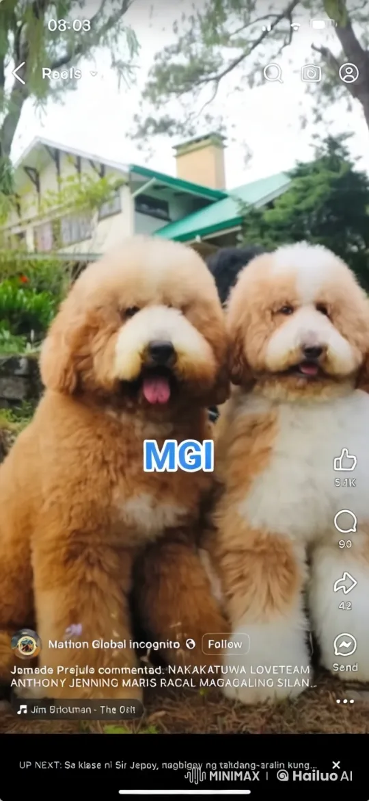Fluffy Dogs Play Kungfu in Lush Garden Setting – AI Generated Video | Hailuo AI