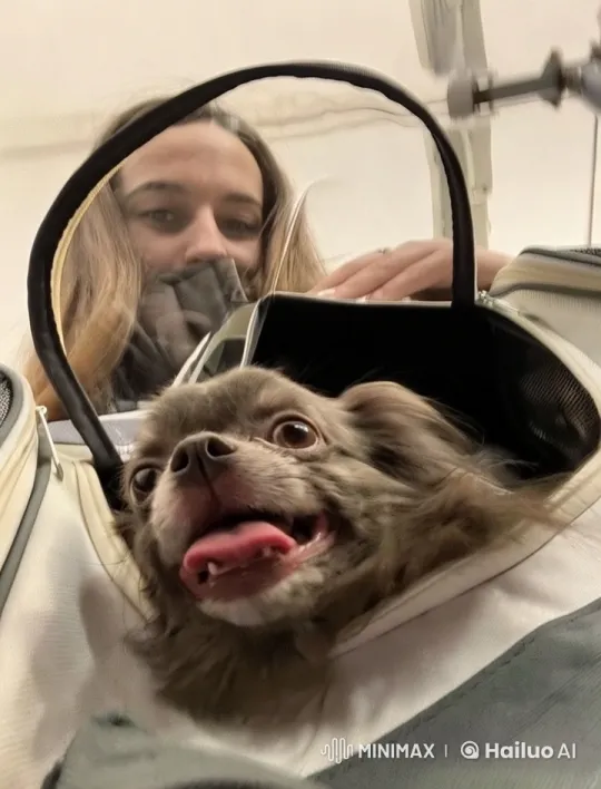 Woman and Her Dog Bond in Joyful Animated Moment – AI Generated Video | Hailuo AI