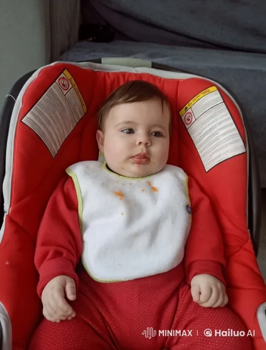 Baby in Red Car Seat Mimics Kung Fu – AI Generated Video | Hailuo AI