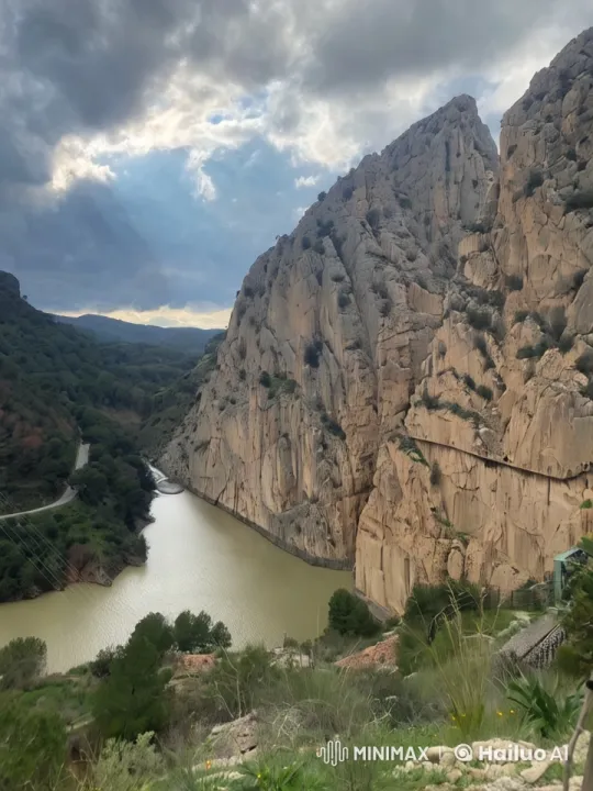 Mountain Landscape with Flowers and Butterflies Celebrating Nature – AI Generated Video | Hailuo AI