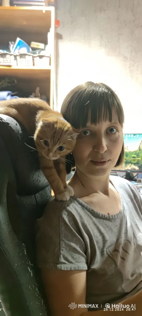 Cozy Indoor Scene with Curious Kitten – AI Generated Video | Hailuo AI