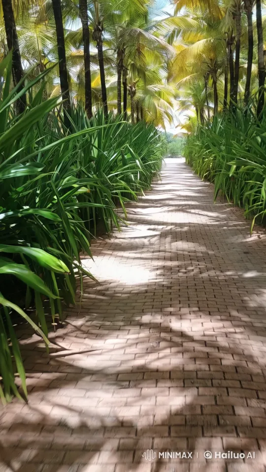 Aesthetic Journey Through a Lush, Serene Pathway – AI Generated Video | Hailuo AI