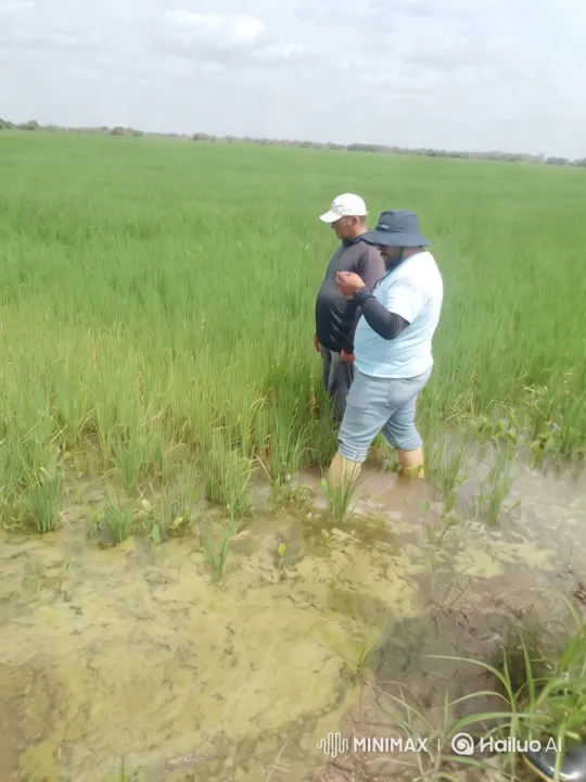 Kung Fu Practitioners in Serene Grassland Scene – AI Generated Video | Hailuo AI