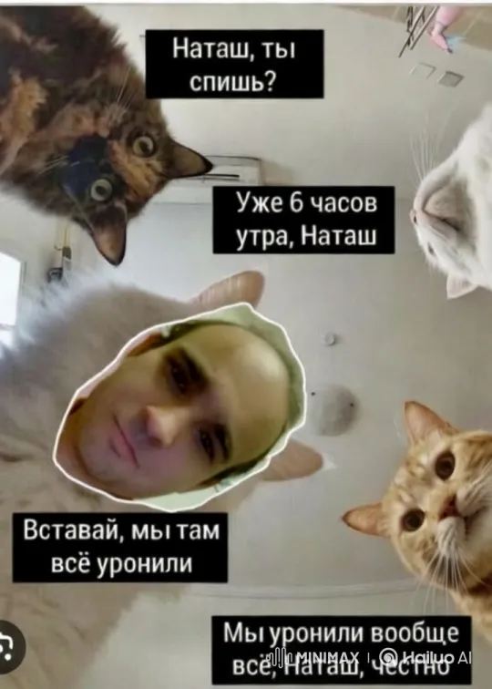 Cats Peering Down with Curious Expressions – AI Generated Video | Hailuo AI