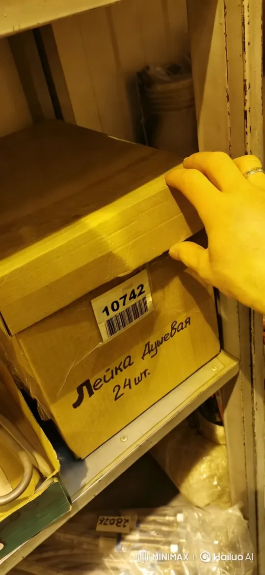 Unexpected Mouse Emerges from Box [Zoom Out] – AI Generated Video | Hailuo AI