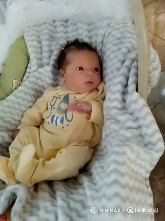 Baby's Playful Dance and Kung Fu Mimicry – AI Generated Video | Hailuo AI