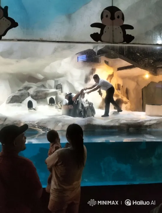 Penguin Exhibit Interaction with Caretaker – AI Generated Video | Hailuo AI