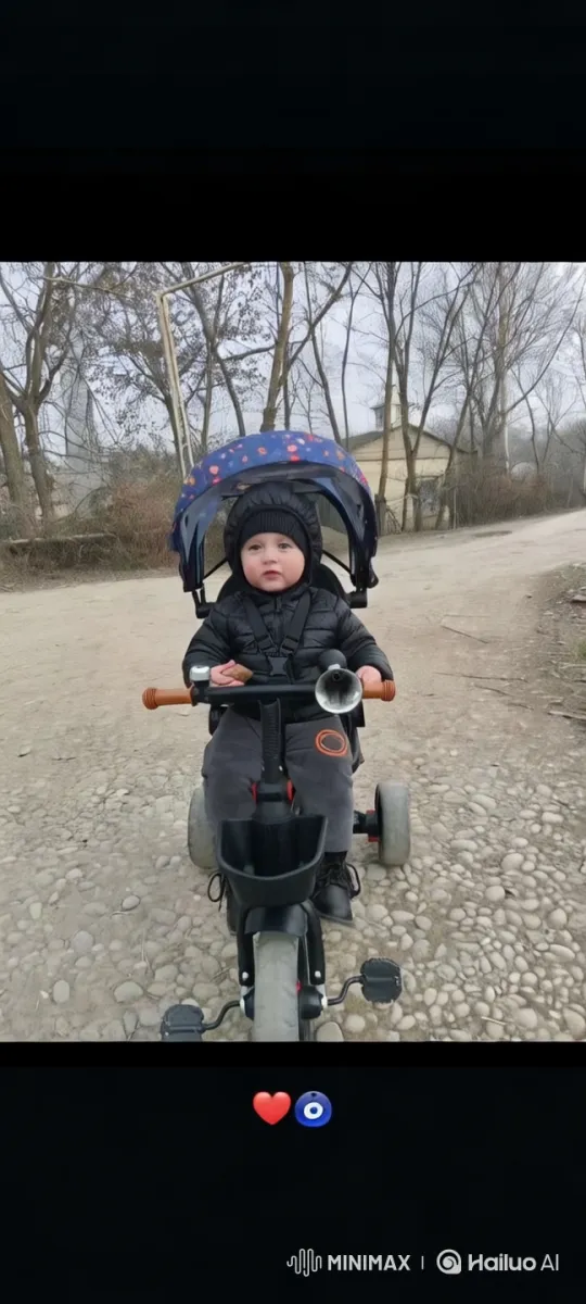 Child Practices Kungfu on Tricycle in Rustic Setting – AI Generated Video | Hailuo AI