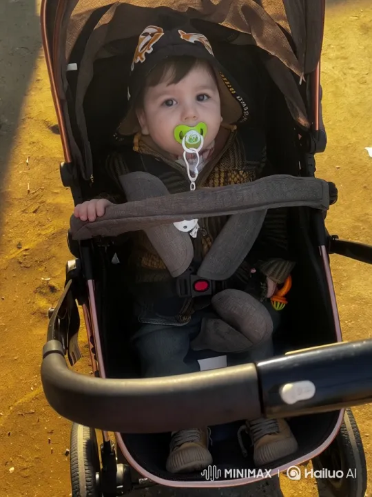 Baby Joyfully Dancing in Stroller Live2D Animation – AI Generated Video | Hailuo AI