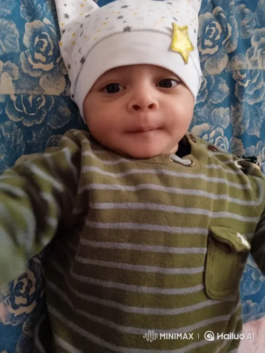Baby's Energetic Kung Fu Dance on Floral Blanket – AI Generated Video | Hailuo AI
