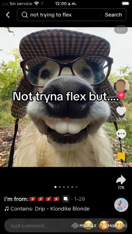 Dog Enjoys Energetic Run in Lush Forest – AI Generated Video | Hailuo AI