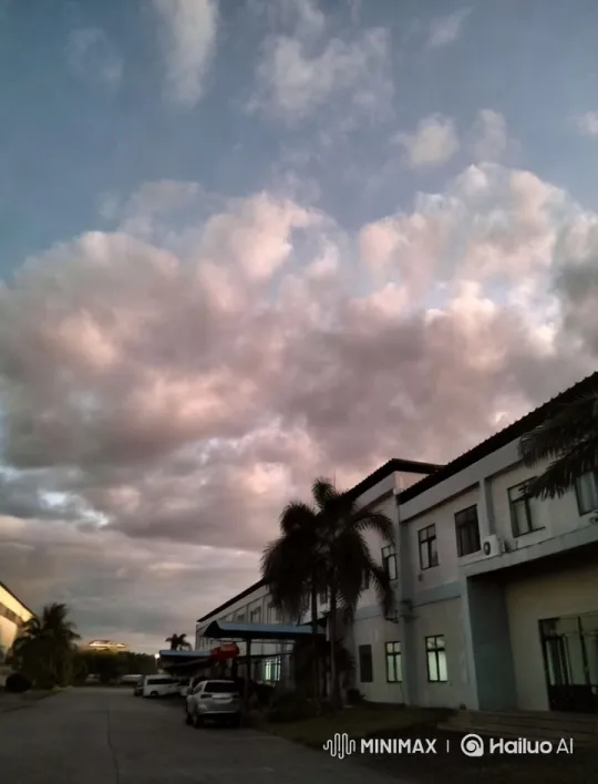 Dramatic Sky: Birds and Clouds Dance with Dynamic Camera Work – AI Generated Video | Hailuo AI