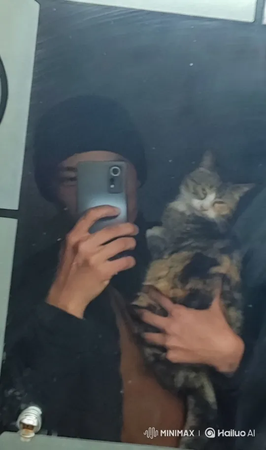 Person and Cat Bonding in Mirror Selfie – AI Generated Video | Hailuo AI