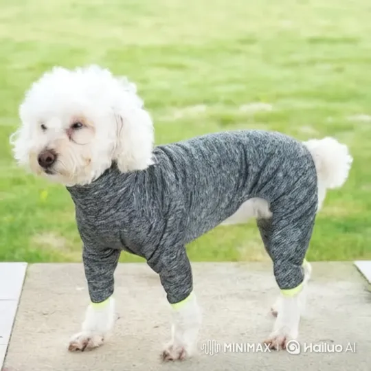 Dancing Dog Showcases Rhythmic Moves on Concrete – AI Generated Video | Hailuo AI