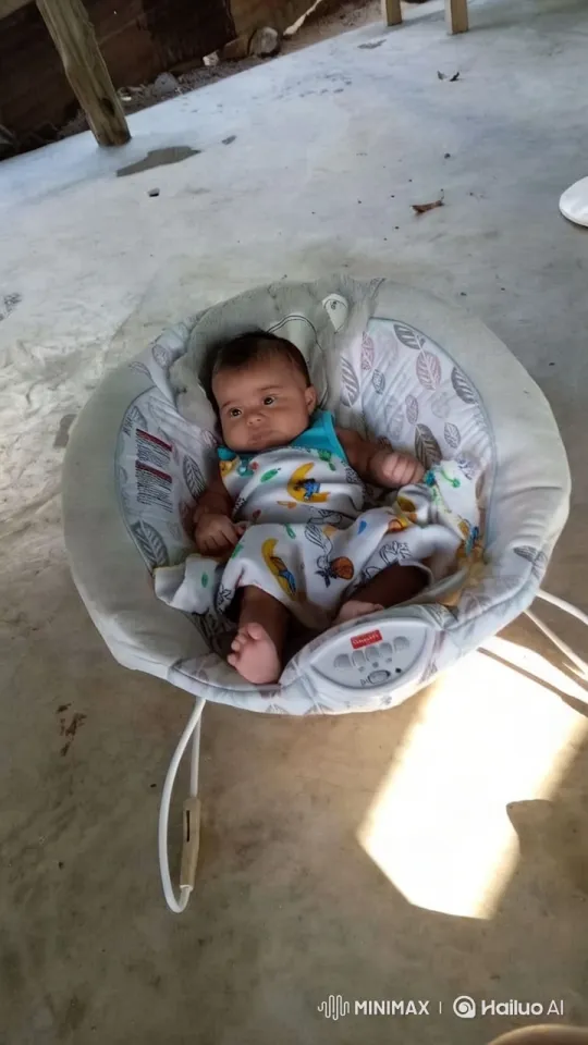 Rustic Setting: Baby in Colorful Seat Captured – AI Generated Video | Hailuo AI