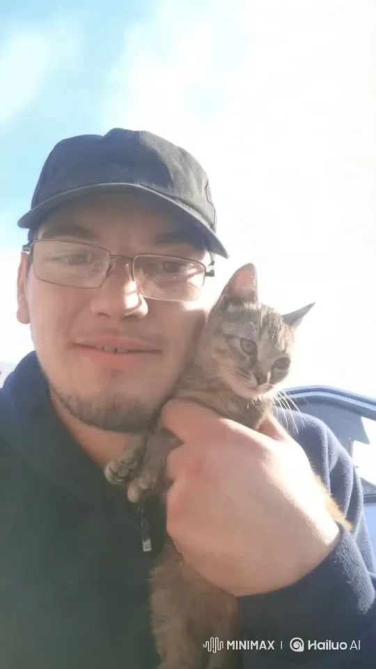 Cute Tabby Kitten Captured in Close-Up Detail – AI Generated Video | Hailuo AI