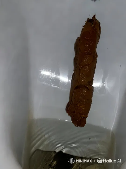 Muscular Men Emerge After Toilet Explosion – AI Generated Video | Hailuo AI