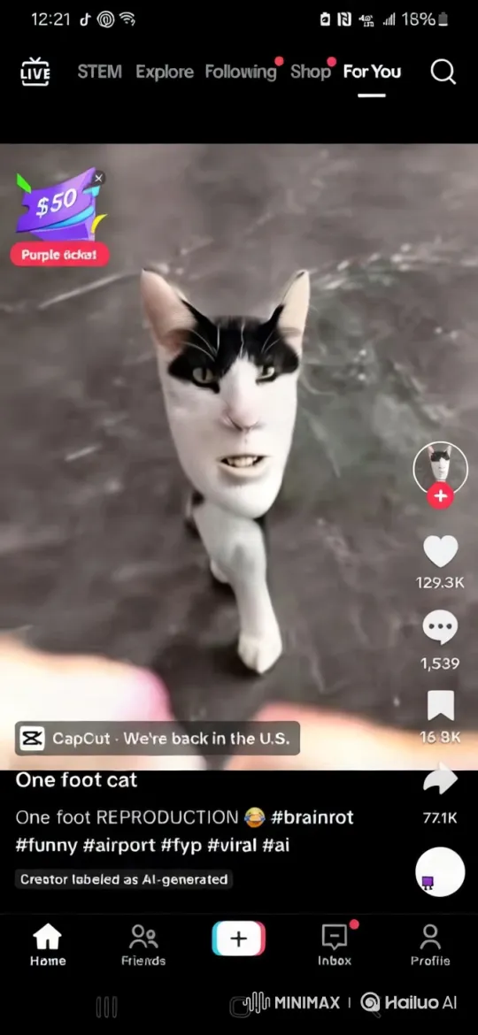 Whimsical Cat Balances on Sleek Indoor Surface – AI Generated Video | Hailuo AI
