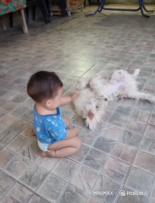 Baby and Dog Joyfully Dancing Together – AI Generated Video | Hailuo AI