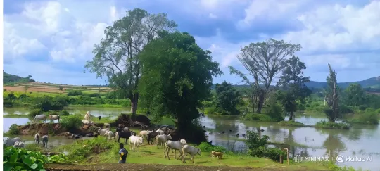 Rural Serenity: Cows Grazing by a Tranquil Waterfall – AI Generated Video | Hailuo AI