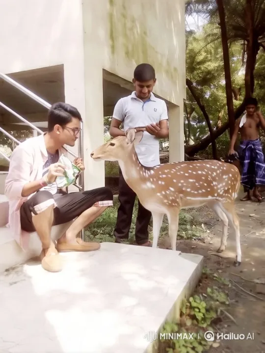 Human and Deer Share Peaceful Moment in Nature – AI Generated Video | Hailuo AI