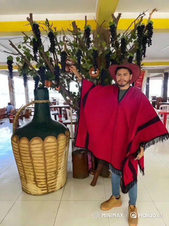 Dancer in Vibrant Red Poncho in Festive Setting – AI Generated Video | Hailuo AI