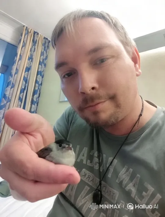 Close-up of a Sparrow Taking Flight in a Room – AI Generated Video | Hailuo AI