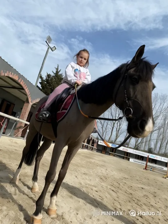 Rider and Horse Showcase Graceful Speed in Arena – AI Generated Video | Hailuo AI