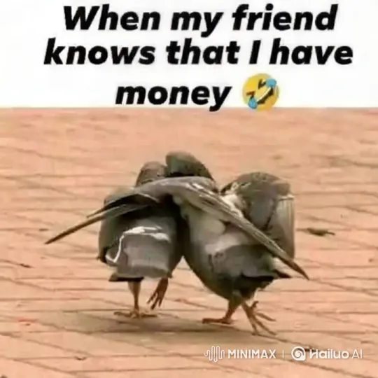 Pigeons Fight and Flee on Pavement – AI Generated Video | Hailuo AI