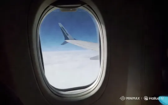 Guidelines for Successful Airplane Landing – AI Generated Video | Hailuo AI
