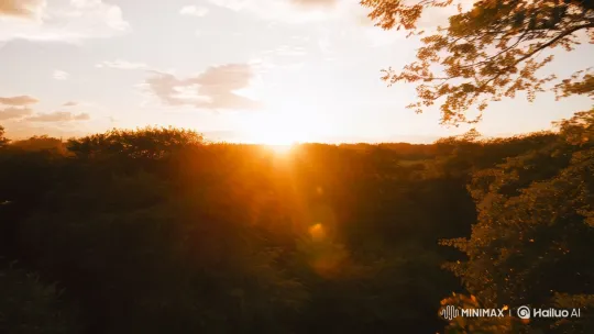 Sunlit Serenity: Nature's Slow-Motion Ballet – AI Generated Video | Hailuo AI