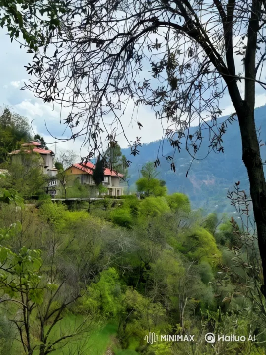 Immersive Mountain House Video with Animations and Ambient Sound – AI Generated Video | Hailuo AI