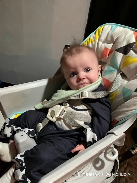 Baby's Playful Boxing in High Chair – AI Generated Video | Hailuo AI