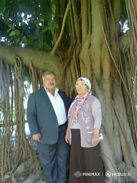 Elderly Couple and Ancient Tree Live2D Animation – AI Generated Video | Hailuo AI