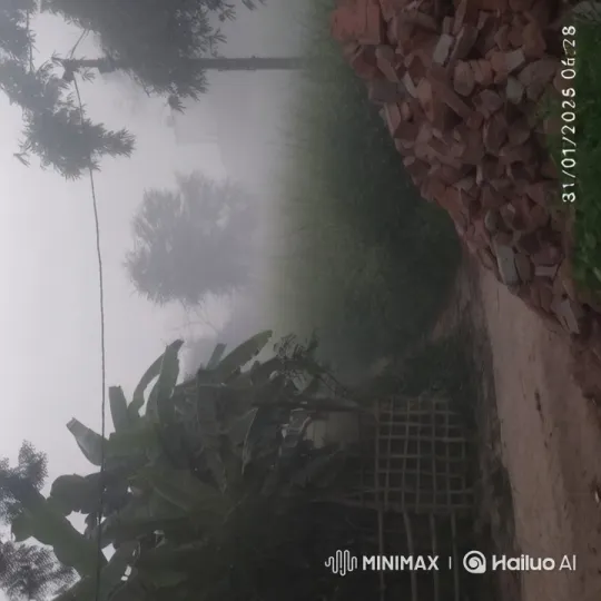 Rural Scene Destroyed by Massive Explosion and Firestorm – AI Generated Video | Hailuo AI