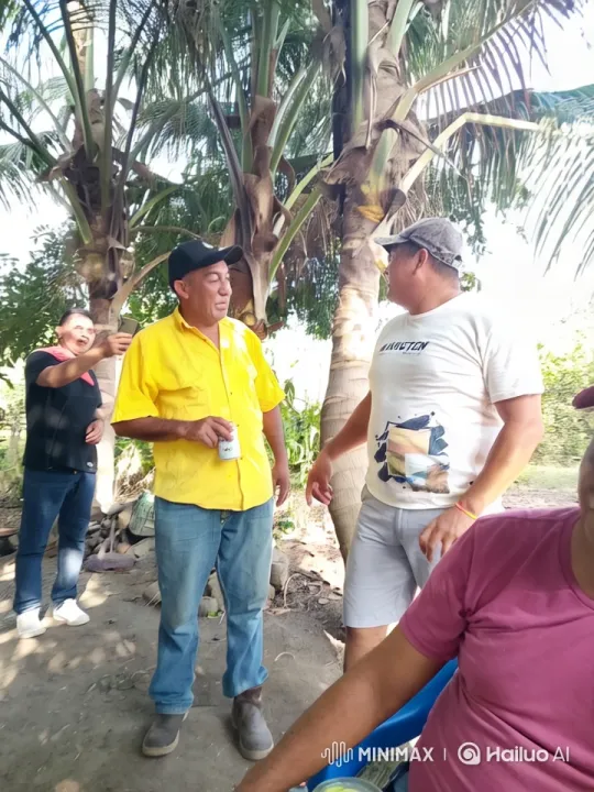 Men Chatting in a Lush Palm Setting – AI Generated Video | Hailuo AI