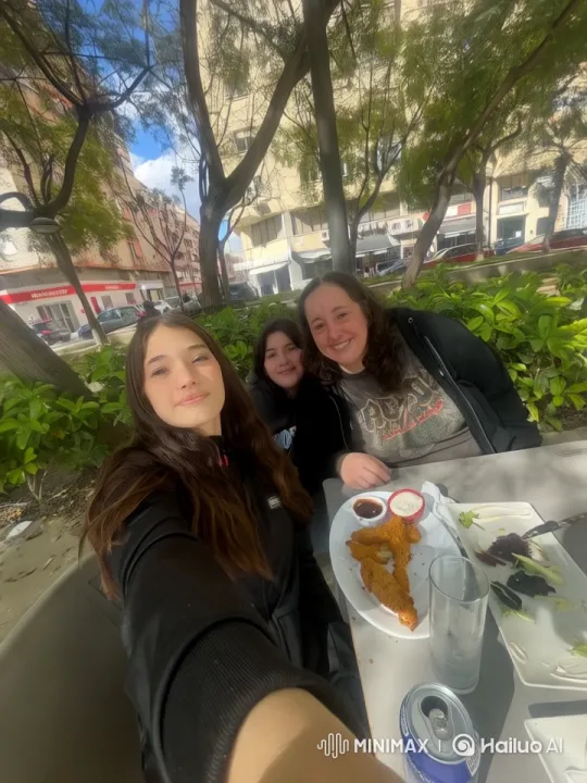 Outdoor Party: Celebration in Nature's Shade – AI Generated Video | Hailuo AI
